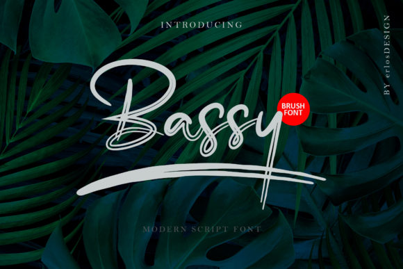 Bassy: A Stylish Script Font for Your Brand